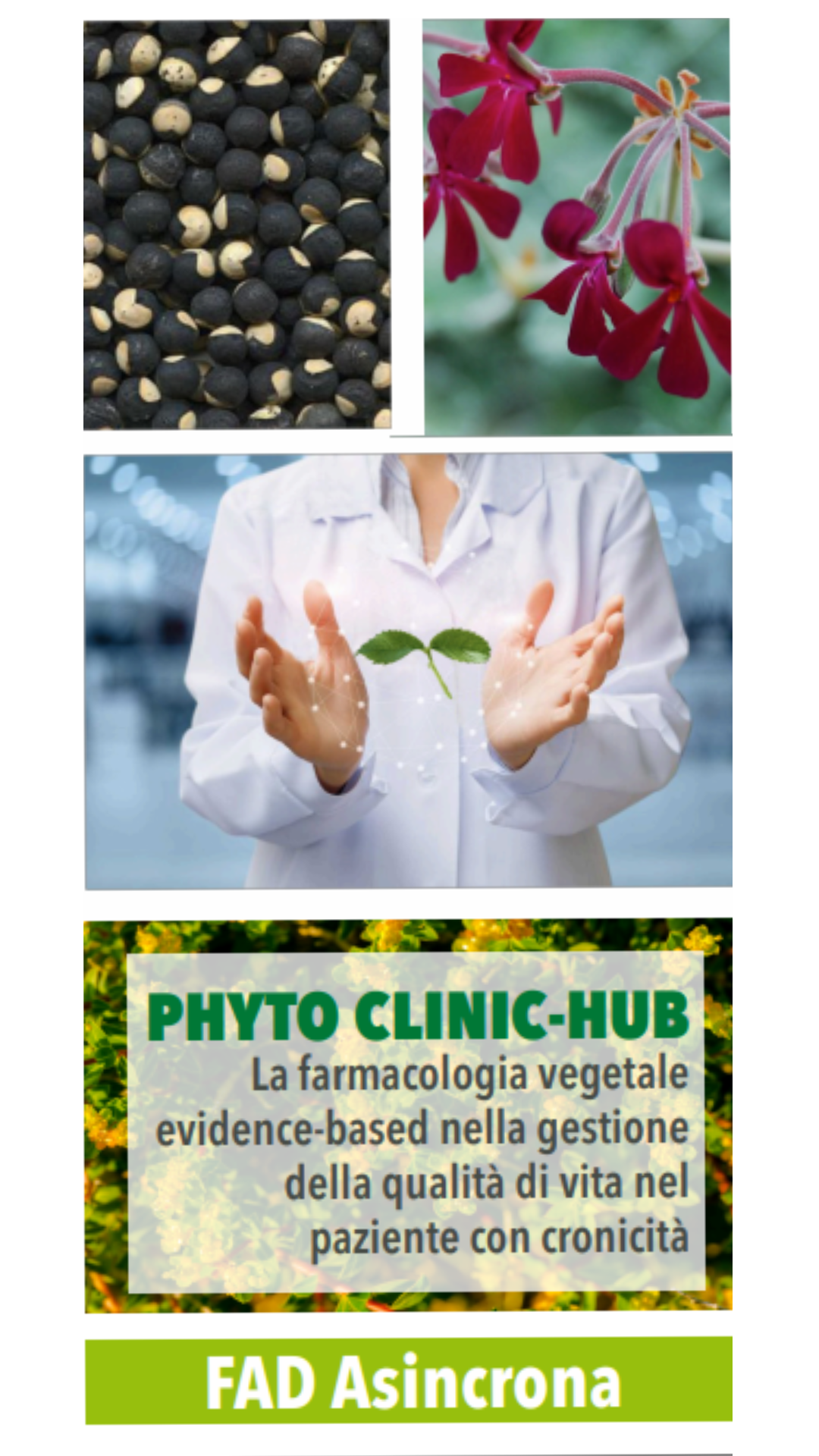 PHYTO CLINIC HUB - LA FARMACOLOGIA VEGETALE EVIDENCE-BASED NELLA GESTIONE DELLA QUALITÀ DI VITA NEL PAZIENTE CON CRONICITÀ